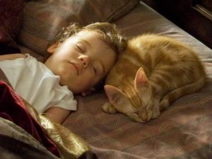 Tristan Project-Developmental Delays