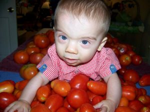 Tristan Project-Tristan Project is Born-Tristan's Tomatoes